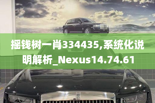 摇钱树一肖334435,系统化说明解析_Nexus14.74.61