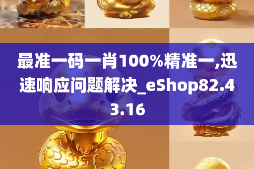 最准一码一肖100%精准一,迅速响应问题解决_eShop82.43.16