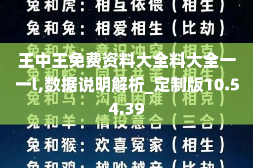 王中王免费资料大全料大全一一l,数据说明解析_定制版10.54.39