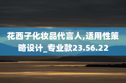 花西子化妆品代言人,适用性策略设计_专业款23.56.22