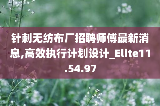 针刺无纺布厂招聘师傅最新消息,高效执行计划设计_Elite11.54.97