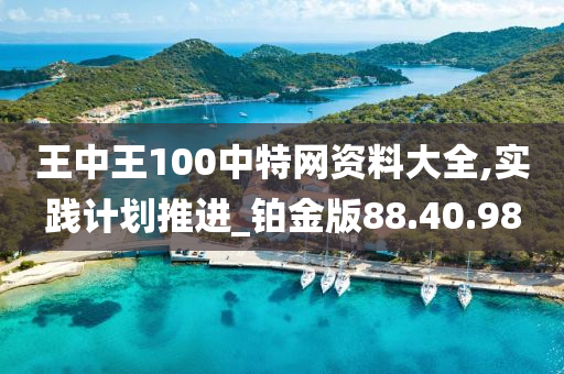 王中王100中特网资料大全,实践计划推进_铂金版88.40.98