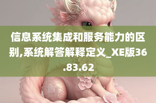 信息系统集成和服务能力的区别,系统解答解释定义_XE版36.83.62