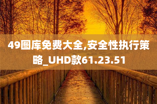 49图库免费大全,安全性执行策略_UHD款61.23.51