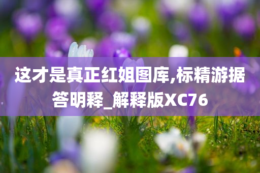 这才是真正红姐图库,标精游据答明释_解释版XC76