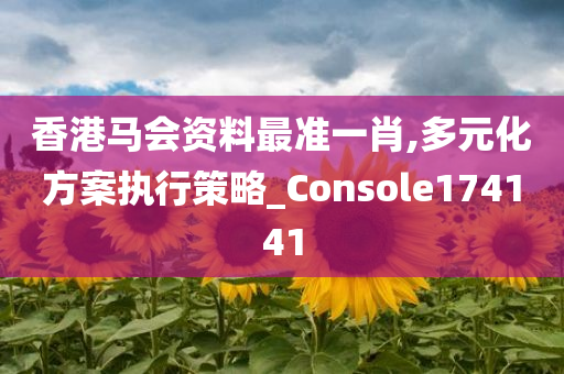 香港马会资料最准一肖,多元化方案执行策略_Console174141