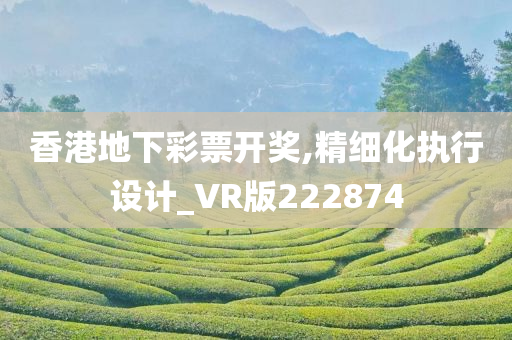 香港地下彩票开奖,精细化执行设计_VR版222874