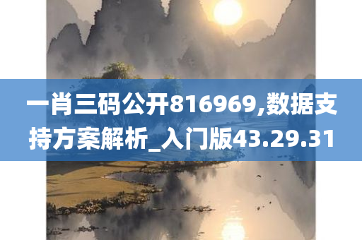 一肖三码公开816969,数据支持方案解析_入门版43.29.31