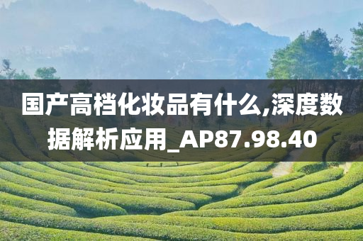 国产高档化妆品有什么,深度数据解析应用_AP87.98.40