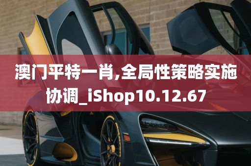 澳门平特一肖,全局性策略实施协调_iShop10.12.67