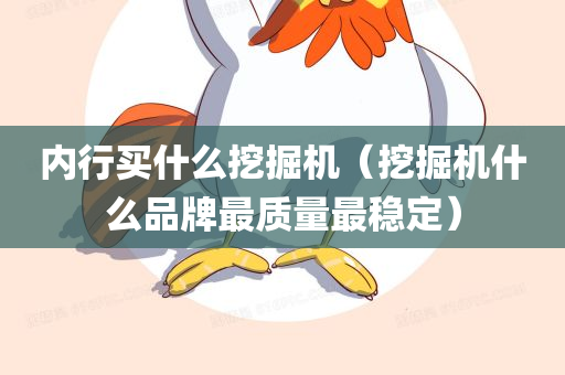 内行买什么挖掘机（挖掘机什么品牌最质量最稳定）