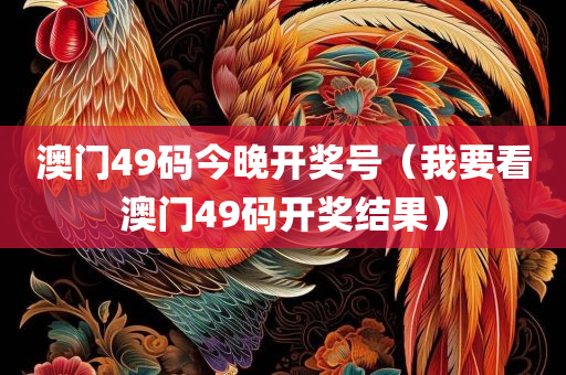 澳门49码今晚开奖号（我要看澳门49码开奖结果）