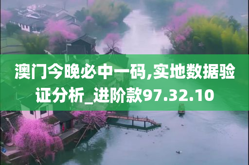 澳门今晚必中一码,实地数据验证分析_进阶款97.32.10