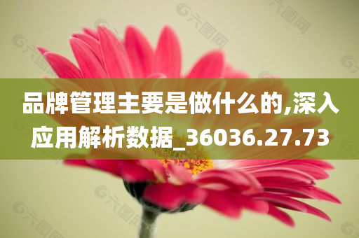 品牌管理主要是做什么的,深入应用解析数据_36036.27.73