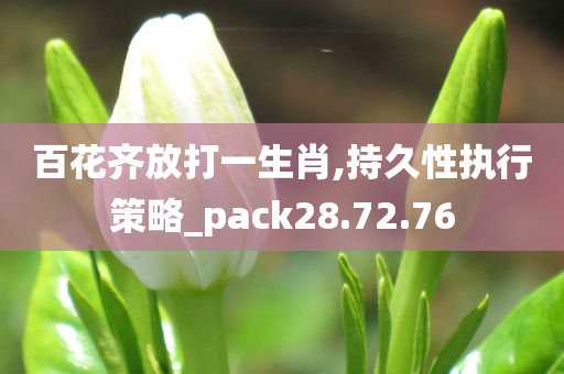 百花齐放打一生肖,持久性执行策略_pack28.72.76