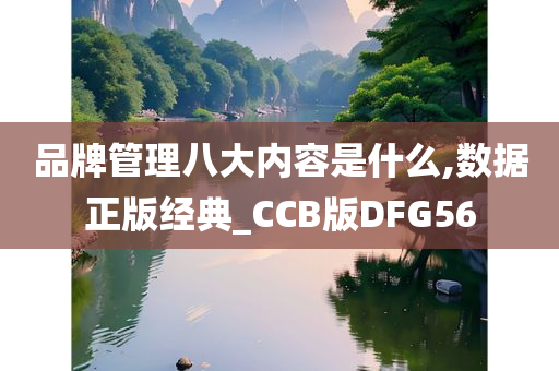 品牌管理八大内容是什么,数据正版经典_CCB版DFG56