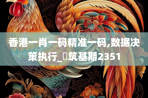 香港一肖一码精准一码,数据决策执行_‌筑基期2351