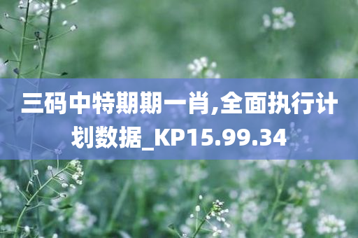 三码中特期期一肖,全面执行计划数据_KP15.99.34