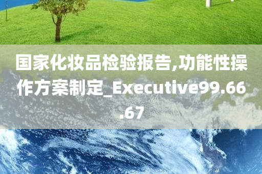 国家化妆品检验报告,功能性操作方案制定_Executive99.66.67