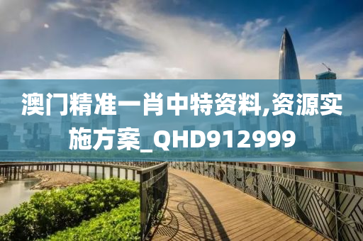 澳门精准一肖中特资料,资源实施方案_QHD912999