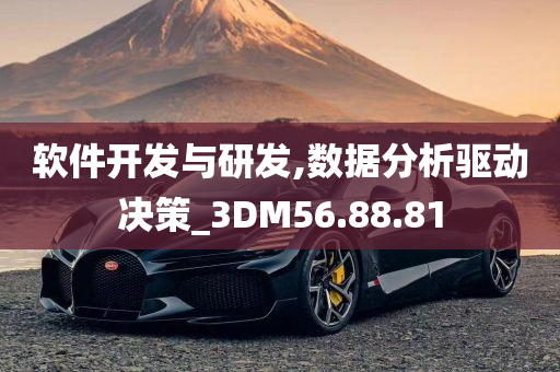 软件开发与研发,数据分析驱动决策_3DM56.88.81