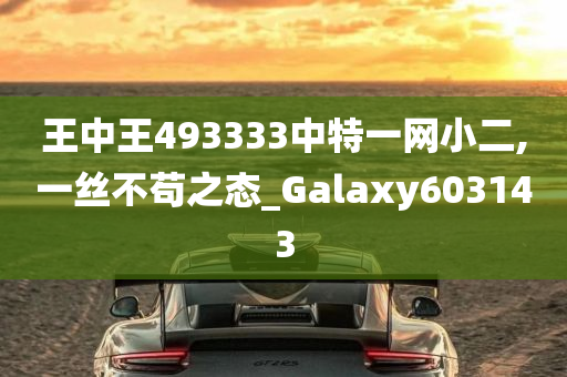 王中王493333中特一网小二,一丝不苟之态_Galaxy603143