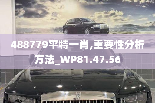 488779平特一肖,重要性分析方法_WP81.47.56