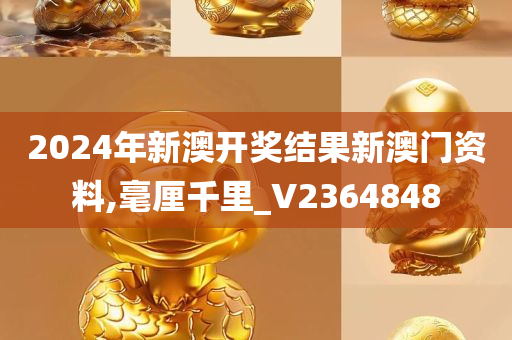 2024年新澳开奖结果新澳门资料,毫厘千里_V2364848