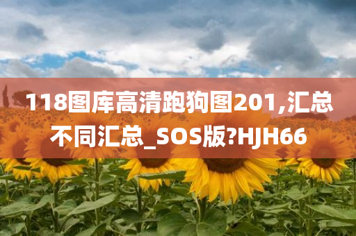 118图库高清跑狗图201,汇总不同汇总_SOS版?HJH66