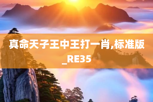 真命天子王中王打一肖,标准版_RE35