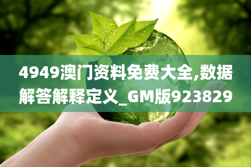 4949澳门资料免费大全,数据解答解释定义_GM版923829