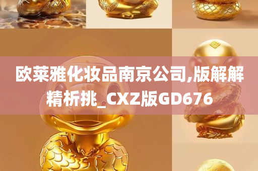 欧莱雅化妆品南京公司,版解解精析挑_CXZ版GD676