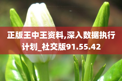 正版王中王资料,深入数据执行计划_社交版91.55.42