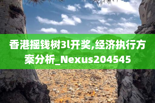 香港摇钱树3l开奖,经济执行方案分析_Nexus204545