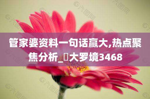 管家婆资料一句话赢大,热点聚焦分析_‌大罗境3468