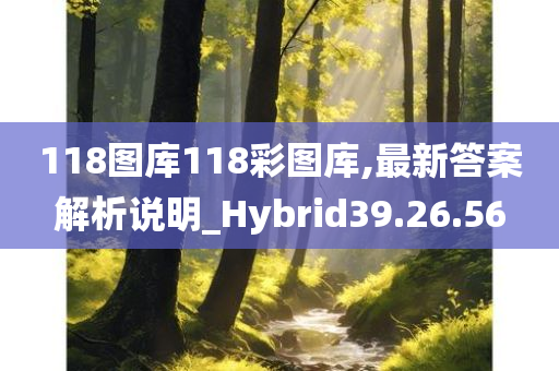 118图库118彩图库,最新答案解析说明_Hybrid39.26.56