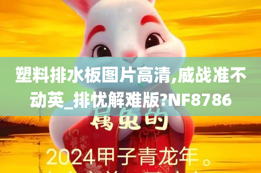 塑料排水板图片高清,威战准不动英_排忧解难版?NF8786