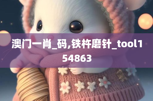 澳门一肖_码,铁杵磨针_tool154863