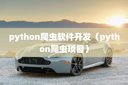 python爬虫软件开发（python爬虫项目）