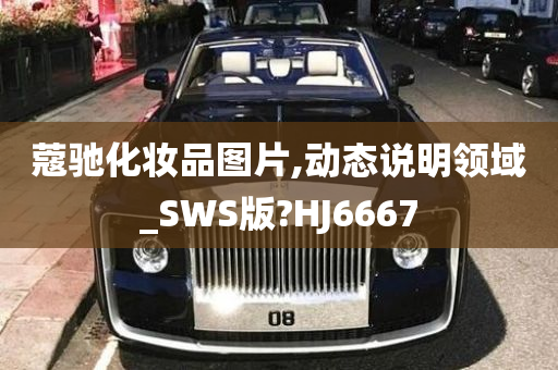 蔻驰化妆品图片,动态说明领域_SWS版?HJ6667