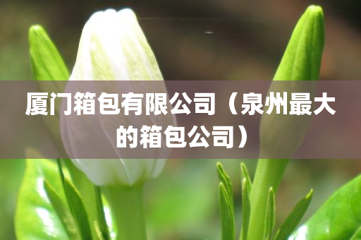 厦门箱包有限公司（泉州最大的箱包公司）