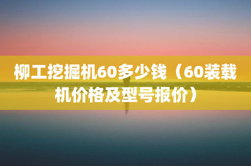 柳工挖掘机60多少钱（60装载机价格及型号报价）