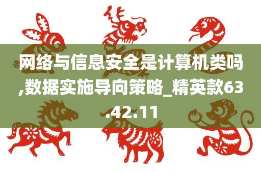 网络与信息安全是计算机类吗,数据实施导向策略_精英款63.42.11