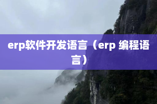 erp软件开发语言（erp 编程语言）