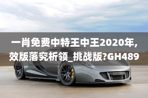 一肖免费中特王中王2020年,效版落究析领_挑战版?GH489