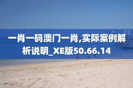 一肖一码澳门一肖,实际案例解析说明_XE版50.66.14