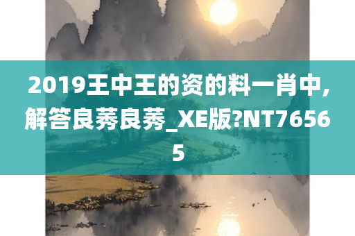 2019王中王的资的料一肖中,解答良莠良莠_XE版?NT76565