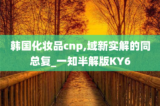 韩国化妆品cnp,域新实解的同总复_一知半解版KY6