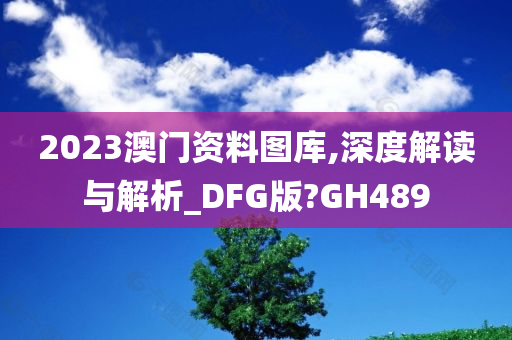 2023澳门资料图库,深度解读与解析_DFG版?GH489