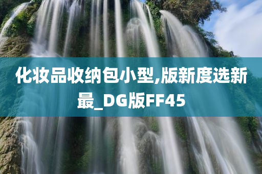 化妆品收纳包小型,版新度选新最_DG版FF45